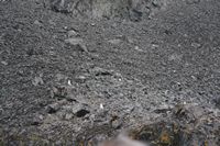 
DSC00169